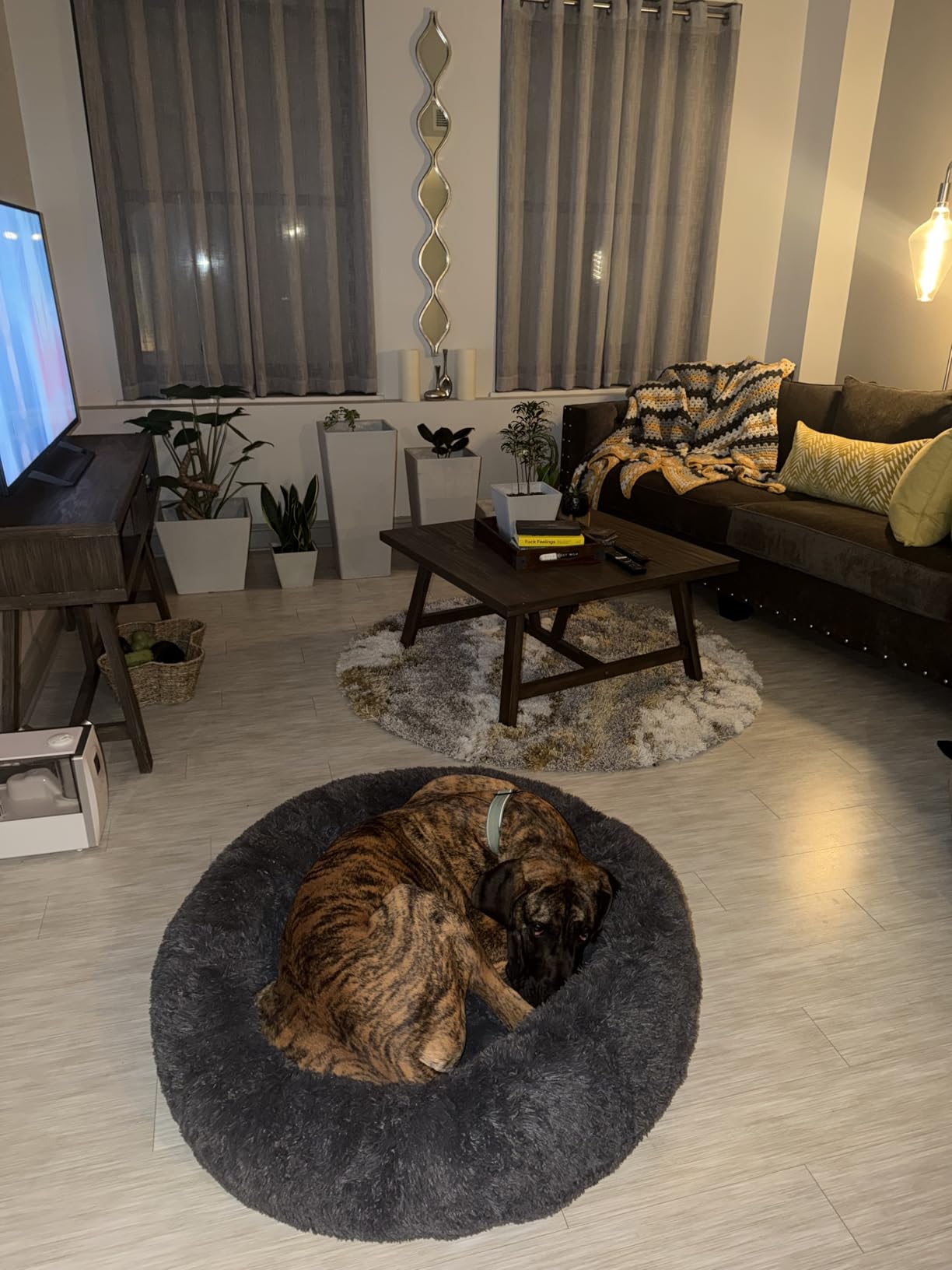 Bedsure SupportMax Calming Dog Beds Large Sized Dog Washable Pet Bed, 36in - 420GSM Plush Fluffy Donut Round, Thick Supportive, Removable Cover, Anti-Slip, Anti-Anxiety, for Big Dogs Up to 80 Lbs, Dark Grey customer photo 2