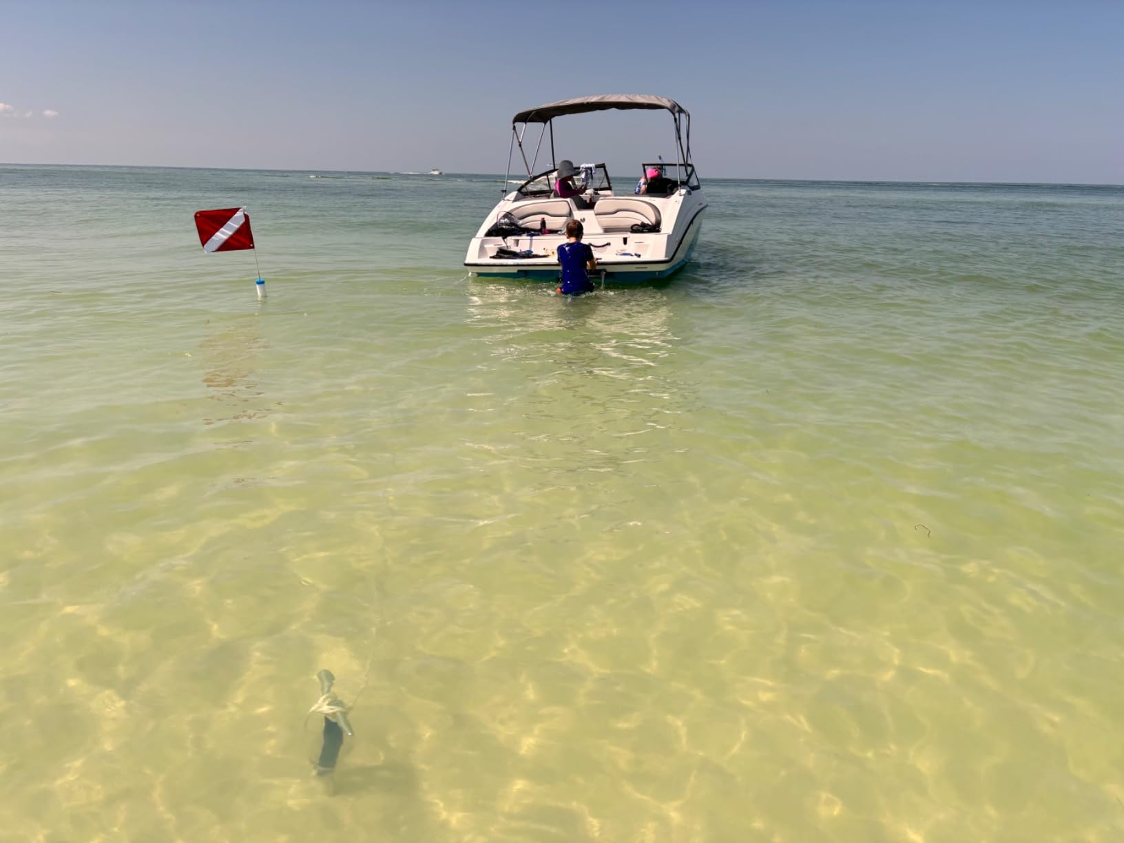 SandShark Anchor - Premium Screw in Boat Anchor, Pontoon Boat Anchor, Stainless Steel Shallow Water Anchor Pole, Sand Anchor w/Case - Essential Pontoon Boat Accessories customer photo 1