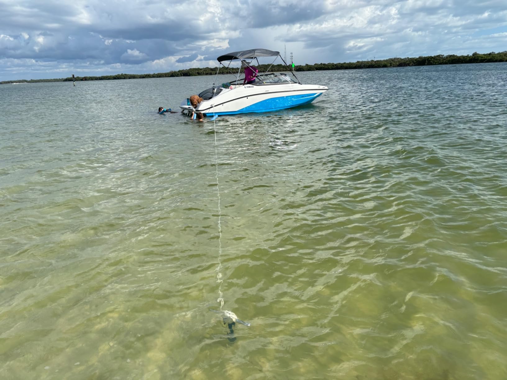 SandShark Anchor - Premium Screw in Boat Anchor, Pontoon Boat Anchor, Stainless Steel Shallow Water Anchor Pole, Sand Anchor w/Case - Essential Pontoon Boat Accessories customer photo 2