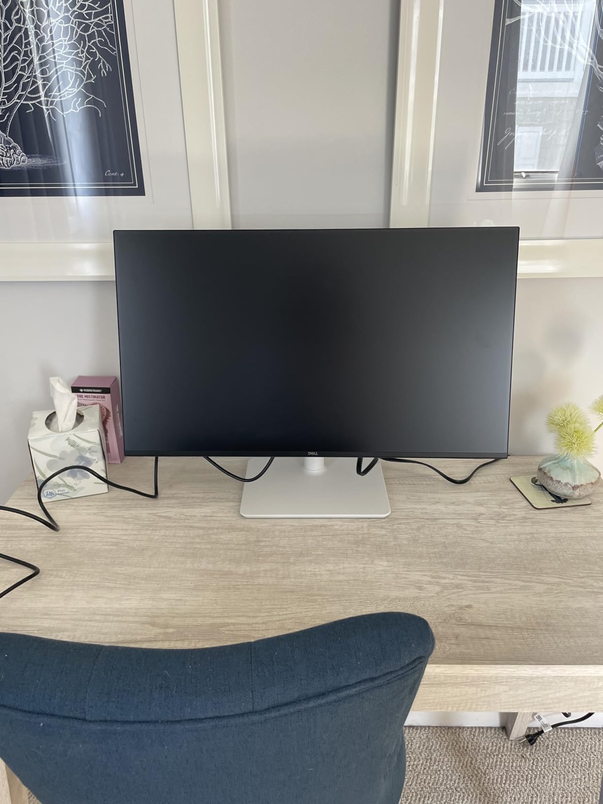 Dell 27 Plus Monitor - S2725HSM - 27-inch FHD (1920x1080) 144Hz 1ms Display, 2 x 3W Speakers, HDMI Connectivity, Height/Tilt/Pivot/Swivel Adjustability, AMD FreeSync - Ash White customer photo 2