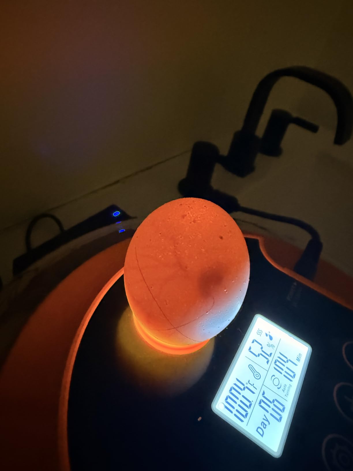 18 Egg Incubators for Hatching Eggs, Automatic Egg Turning and Humidity Control Incubator for Hatch Chicken Duck Quail Pigeon Pheasant Partridge Home Classroom Lab customer photo 1