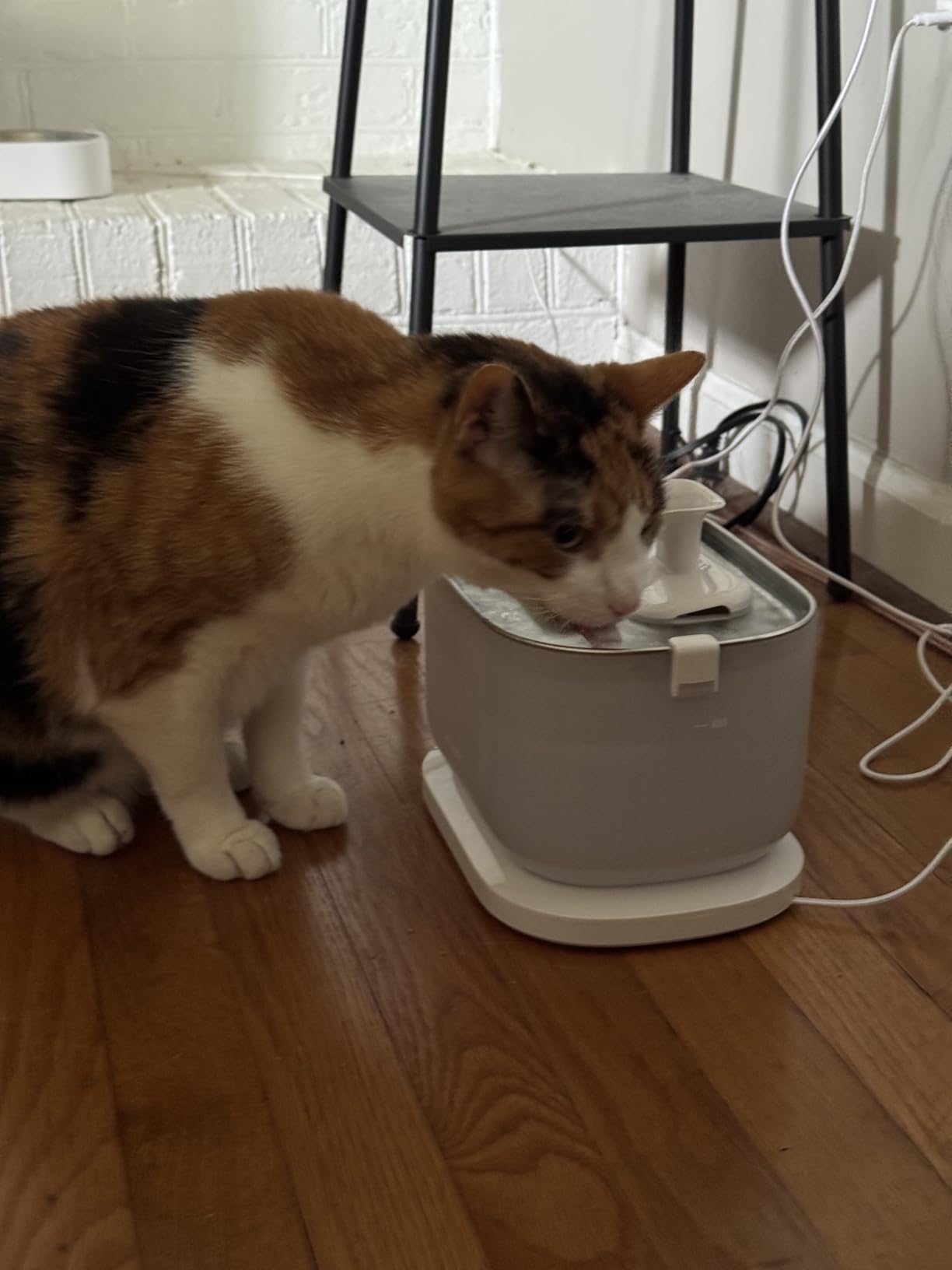 PETLIBRO Cat Water Fountain Stainless Steel Tray, Wireless Pump Cat Fountain, Ultra Quiet Pet Water Fountain, 2.5L Automatic Water Dispenser for Cats, Dual Flow Cat Water Dispenser Easy to Clean customer photo 1