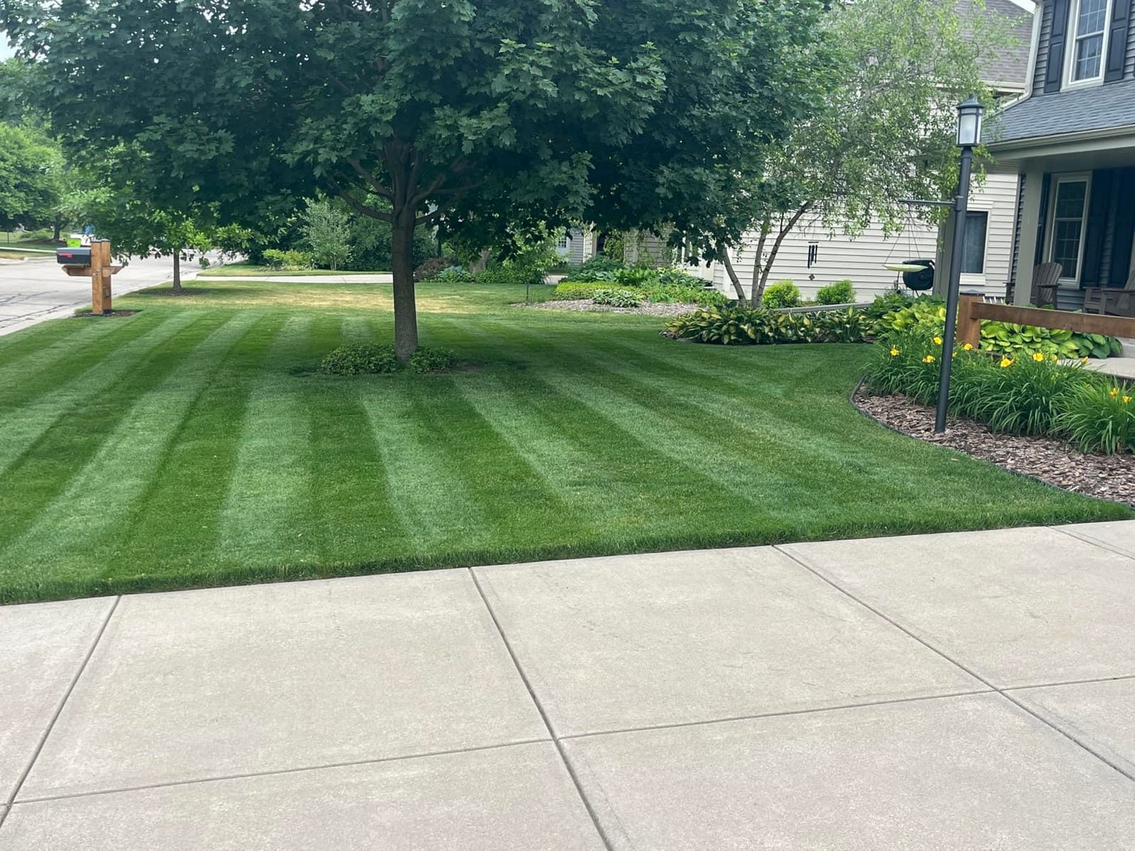 Honda HRX-BE 21-Inch Walk Behind Battery Powered Lawn Mower (HRX217YXBEXA6) | Variable Speed Self Propelled, 2 Battery Bays customer photo 2