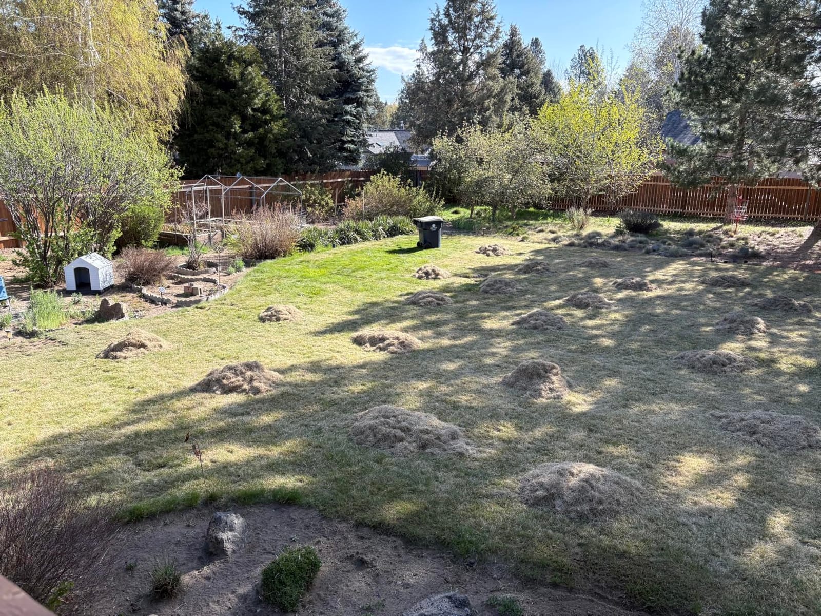 TIECTOWN 2026 Upgrade 16-Inch 15.5 Amp 2-in-1 Electric Dethatcher and Scarifier with 14.5-Gallon Collection Bag, Lawn Dethatcher with 5-Position Depth Adjustment, Keeps Lawn Healthy - Green customer photo 2