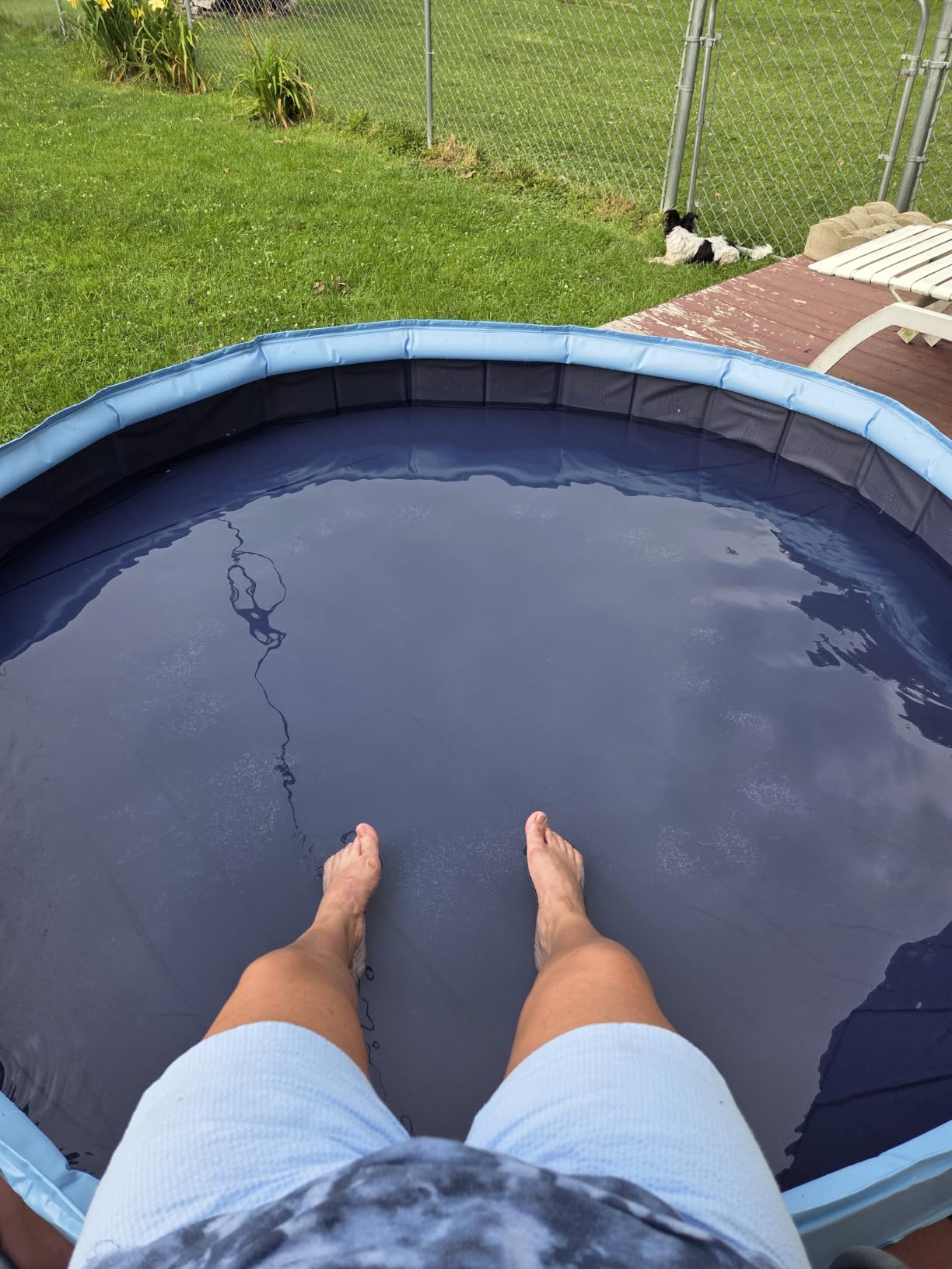 Foldable Dog Pool with Sprinkler, 87 in Extra Large Dog Swimming Pool, 2-in-1 Outdoor Collapsible Pet Bathing Tub for Pets Dogs Cats and Kids customer photo 2