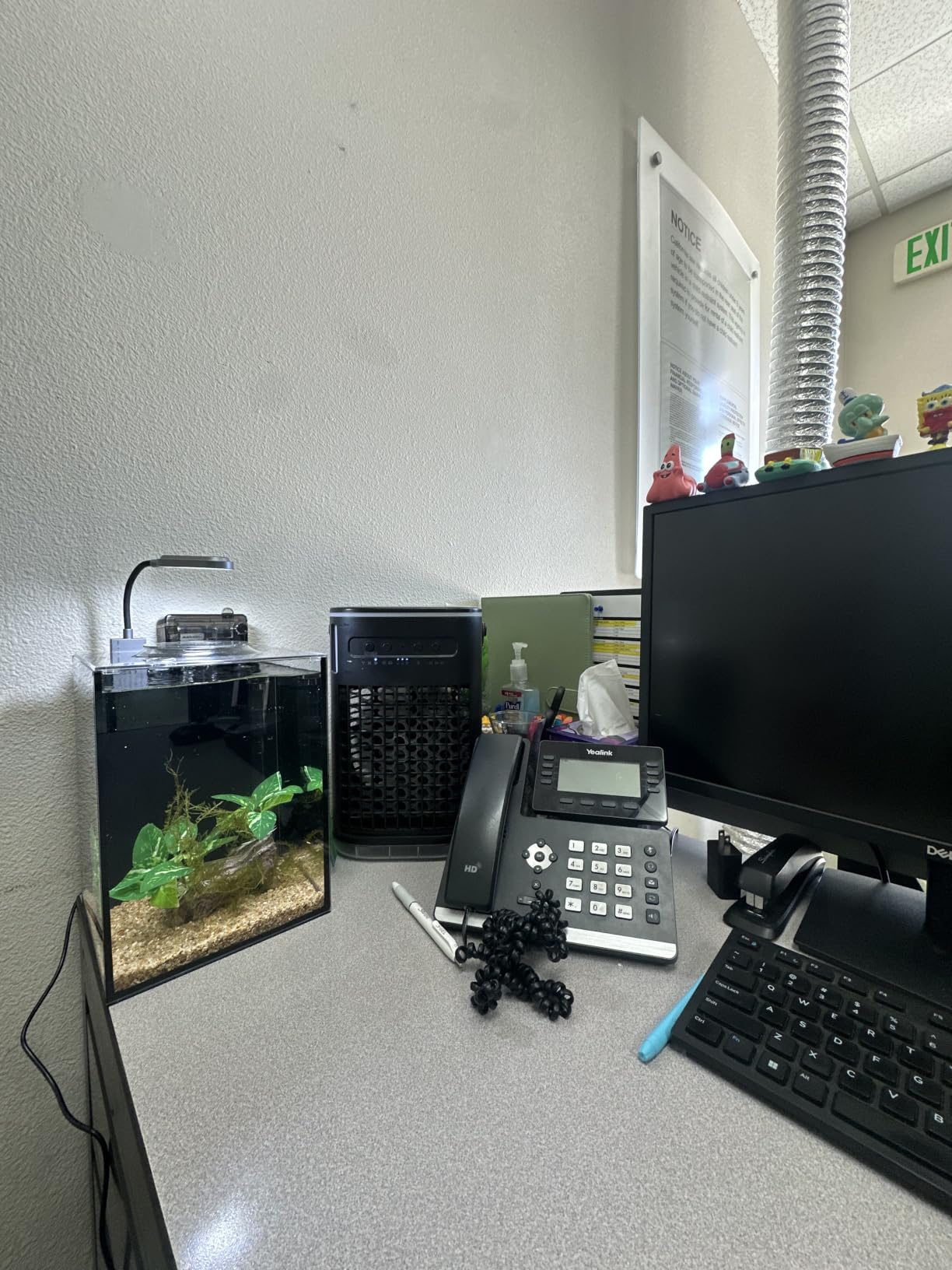 2.2 Gallon Small Aquarium Set Glass Fish Tank, Desktop Small Aquarium Kit for Beginners and Children to Keep Betta Fish, Goldfish, Shrimp, and Aquatic Plants (Black, 2.2 Gallon (Complete Kit)) customer photo 1