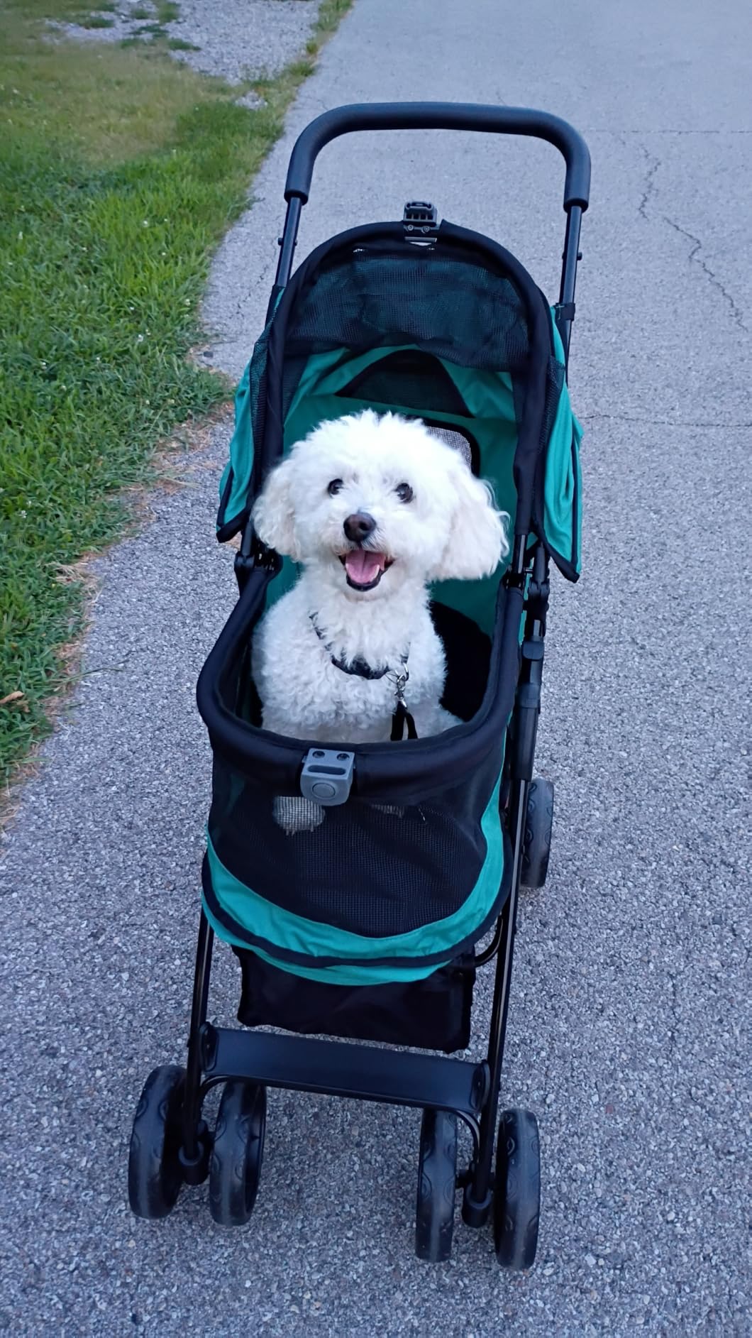 Pet Gear No-Zip Happy Trails Lite Pet Stroller, Green Clover | Zipperless Entry, Easy Fold with Removable Liner, Safety Tether, Storage Basket + Cup Holder, For Cats/Dogs customer photo 1