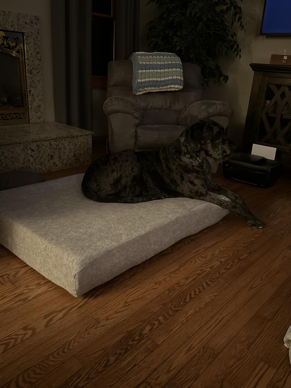 Barker Beds Large Orthopedic Dog Bed - 7