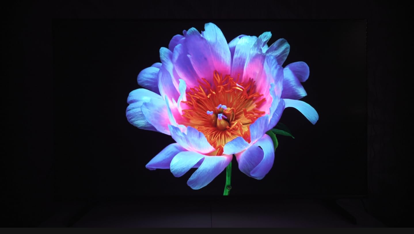 Hisense 65