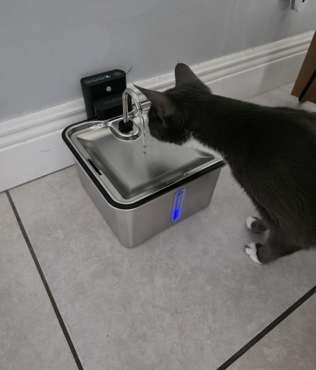 PETALPAW Wireless Cat Water Fountain, Water & Battery Separation, Faucet Design | Cat Fountain Stainless Steel, 4000mAh, 3.5L Cordless Pet Water Dispenser for Indoor Cats & Small Dogs, Silver customer photo 1