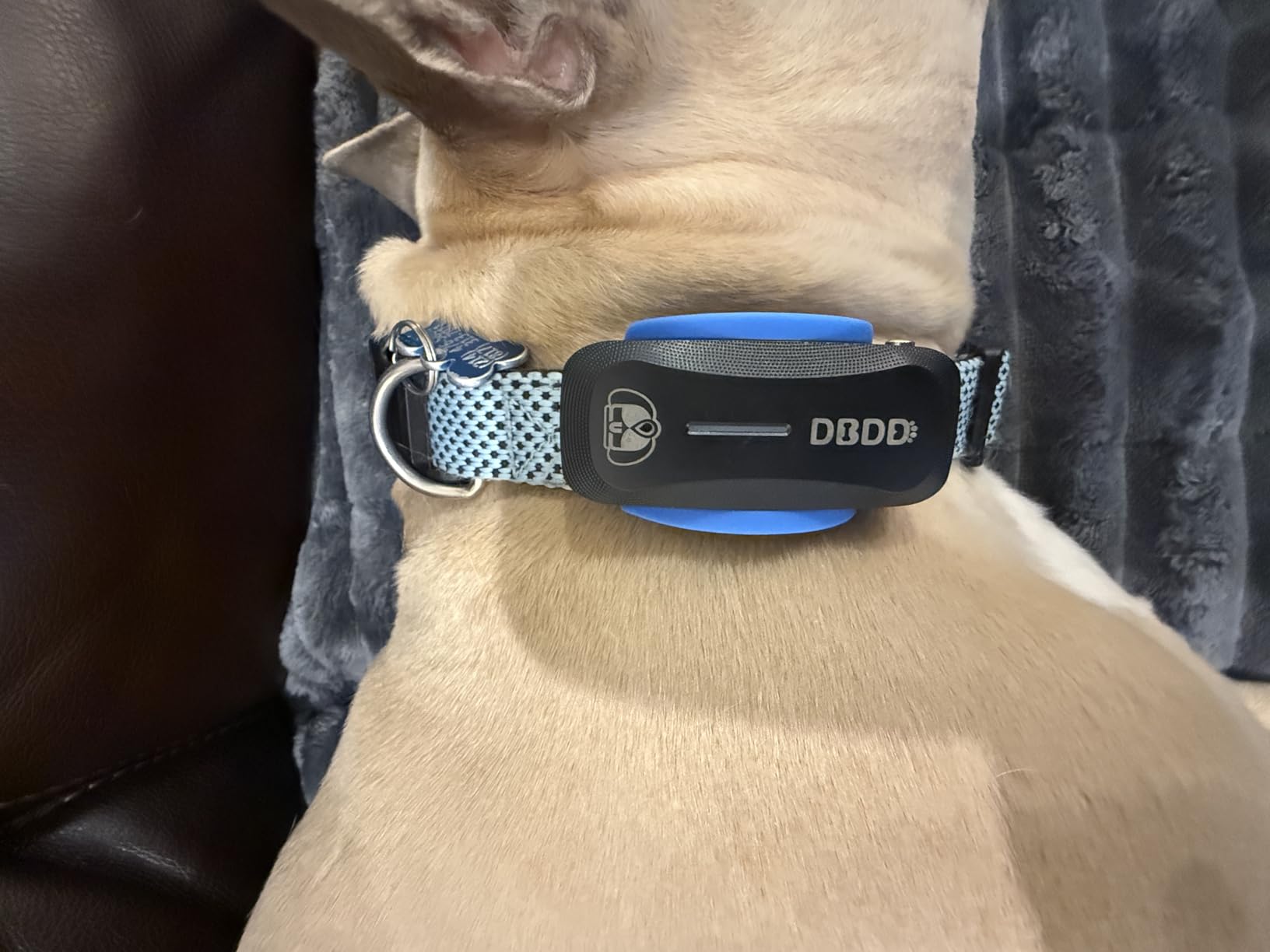 DBDD AI GPS Dog Tracker, Virtual Fence & AI Health Monitor, Waterproof customer photo 2