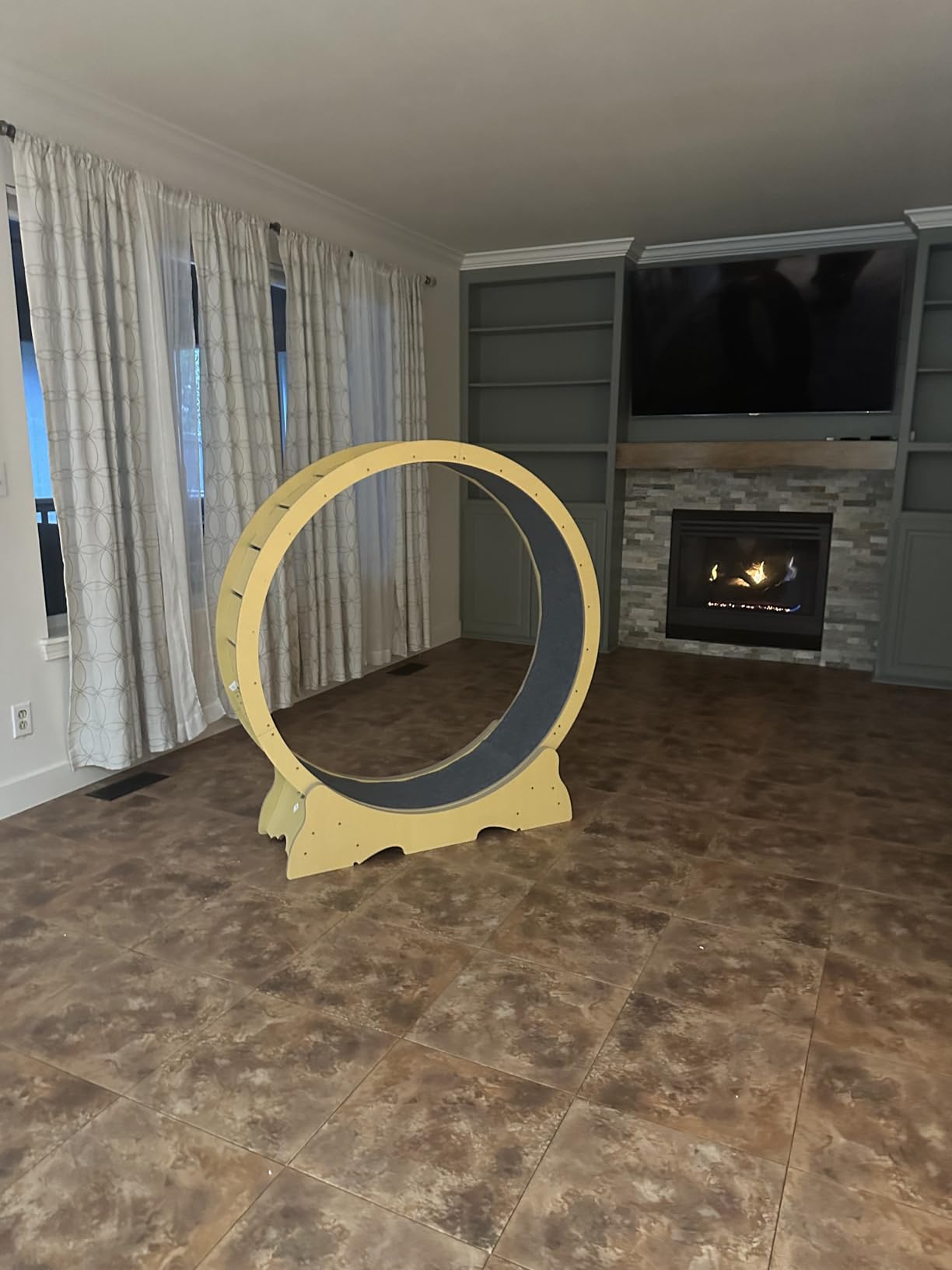 Cat Wheel for Indoor Cats, 48 Inch Diameter Exercise Running Wheel | Enhanced Base, Safety Lock, Quiet, For Cat's Longer Life Fitness, Wide Surface, Low-Entry Design, Easy Assembly, Natural Wood customer photo 1