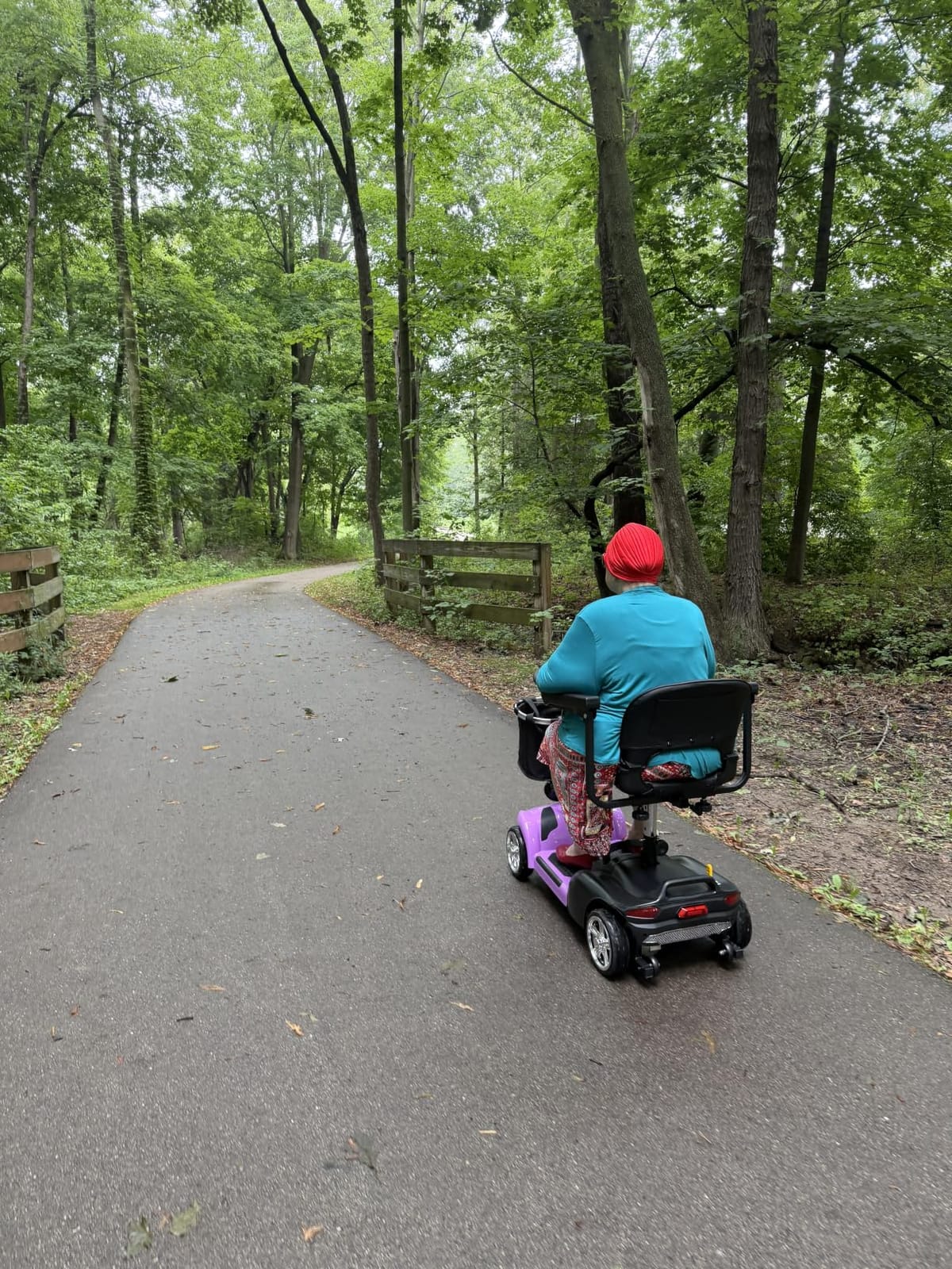 Light Weight Mobility Scooters for Seniors/Adults,Foldable Mobility Scooter | FSA Eligible,Airline-Approved,Dual Battery,Only 31.7 LBS, 20 Inch Turning Radius, for Indoors &Outdoors,Tail Light,GPS customer photo 2