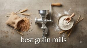 best grain mills