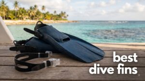 best dive fins