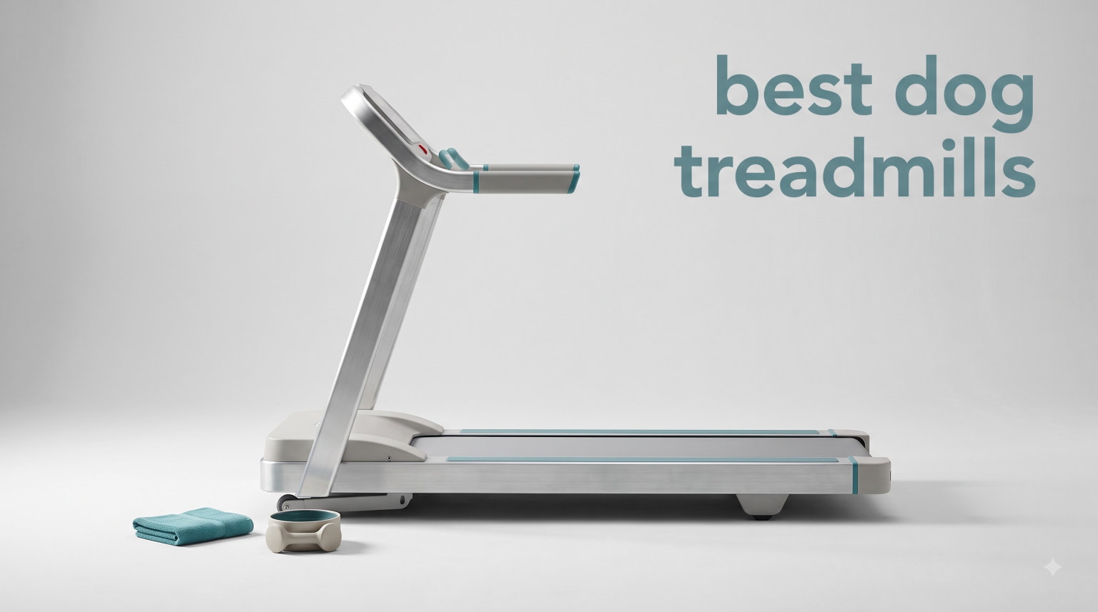 best dog treadmills