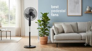 best pedestal fans