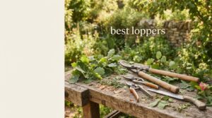best loppers