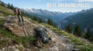 best trekking poles
