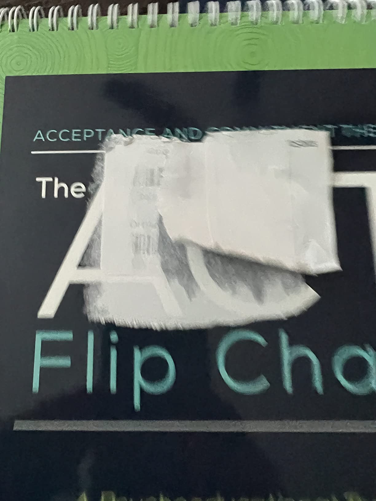 The ACT Flip Chart: A Psychoeducational Tool to Build Psychological Flexibility and Facilitate Values-Based Action customer photo 1