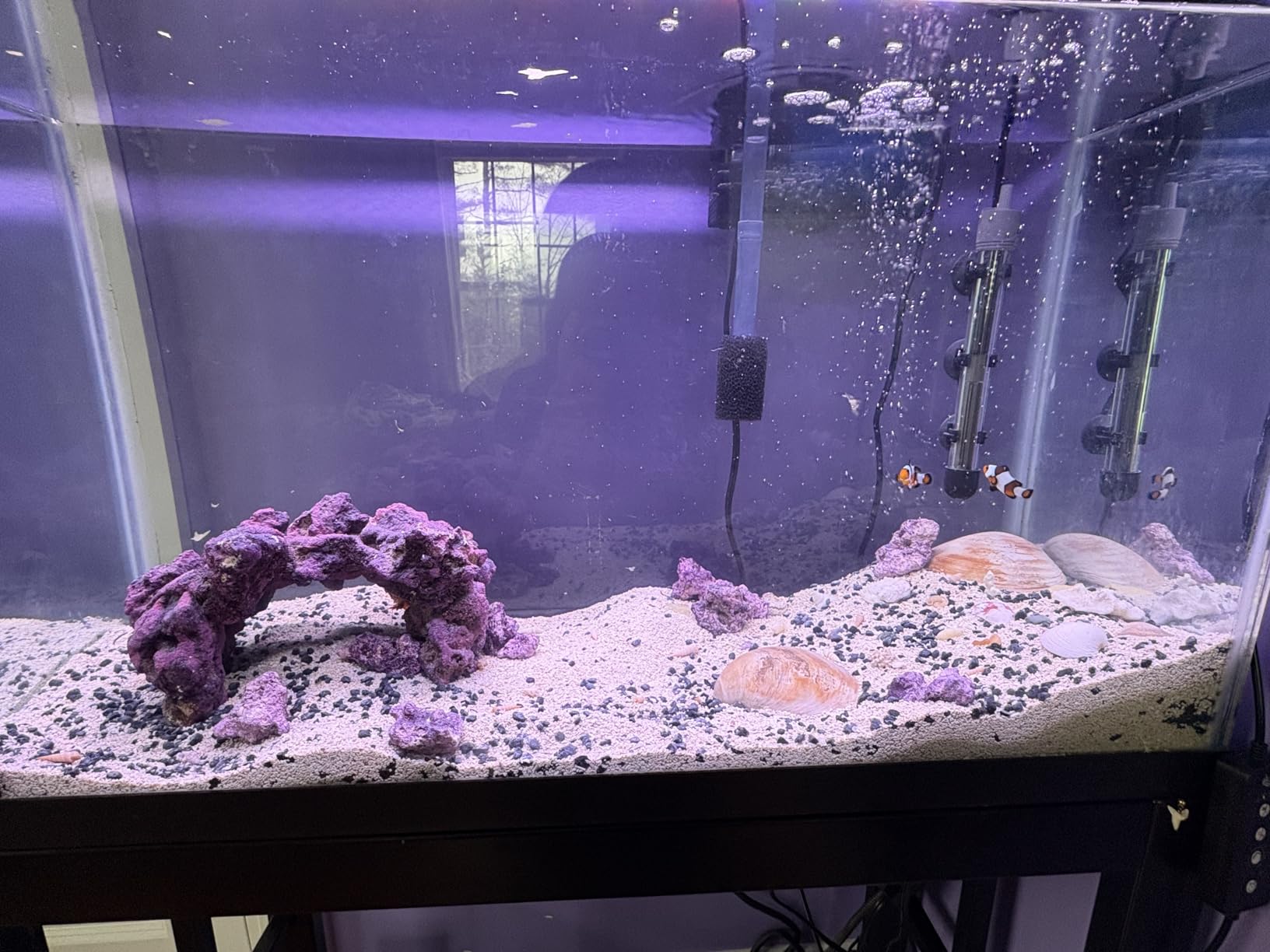 Instant Ocean Sea Salt for Marine Aquariums, 160 Gallons customer photo 2