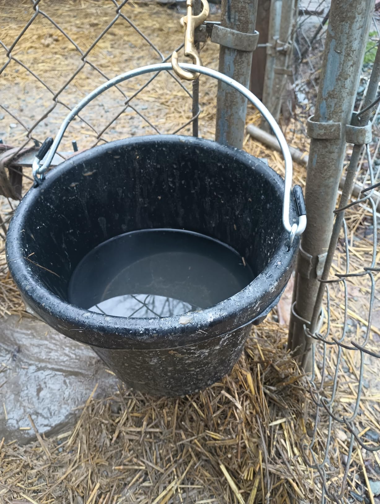 Little Giant® Rubber Pail | All-Purpose Heavy Duty Rubber | Water Bucket | 12 Quarts customer photo 1