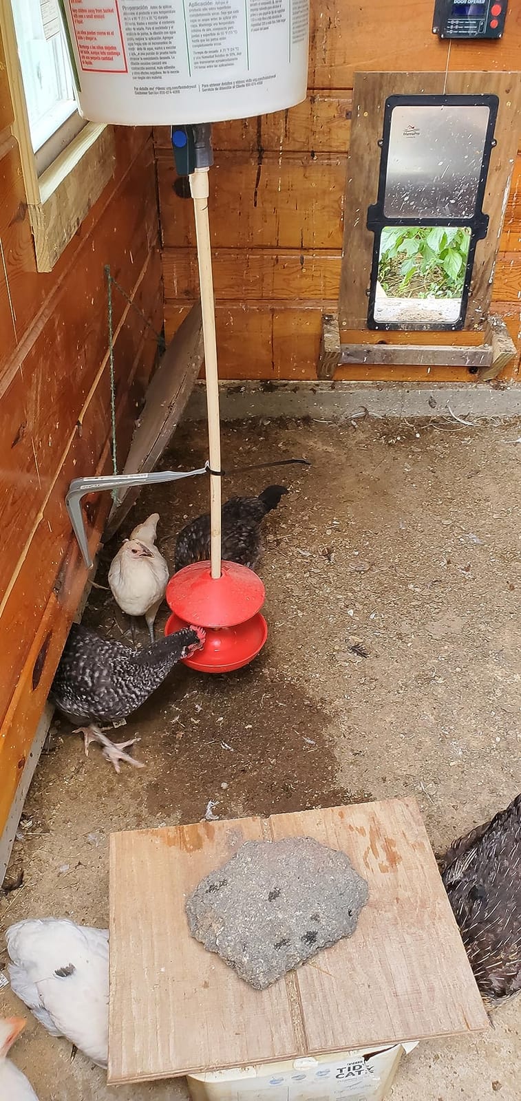 Little Giant® Automatic Poultry Fount | Game Bird Fount | Heavy Duty Plastic | Waterer Bowl with Hose Attachment | 1.5 Quarts customer photo 1