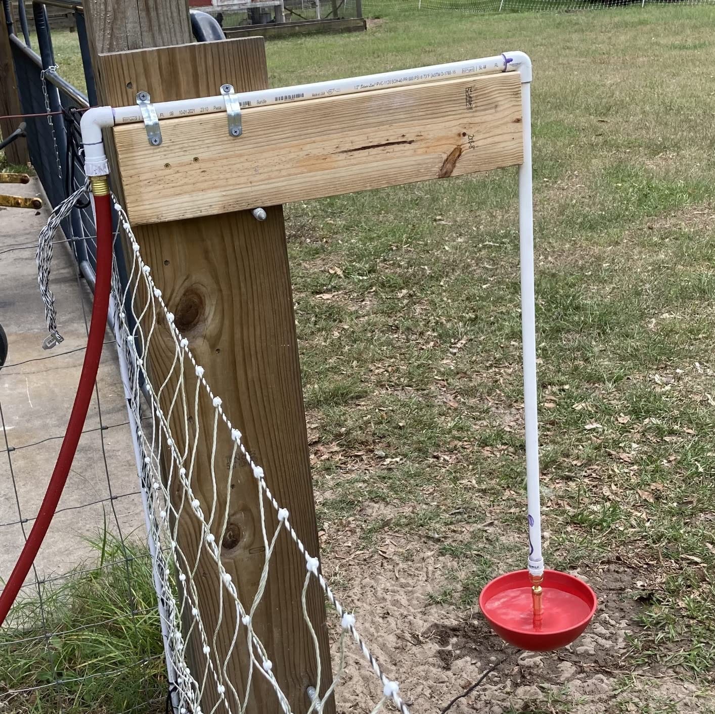 Little Giant® Automatic Poultry Fount | Game Bird Fount | Heavy Duty Plastic | Waterer Bowl with Hose Attachment | 1.5 Quarts customer photo 2