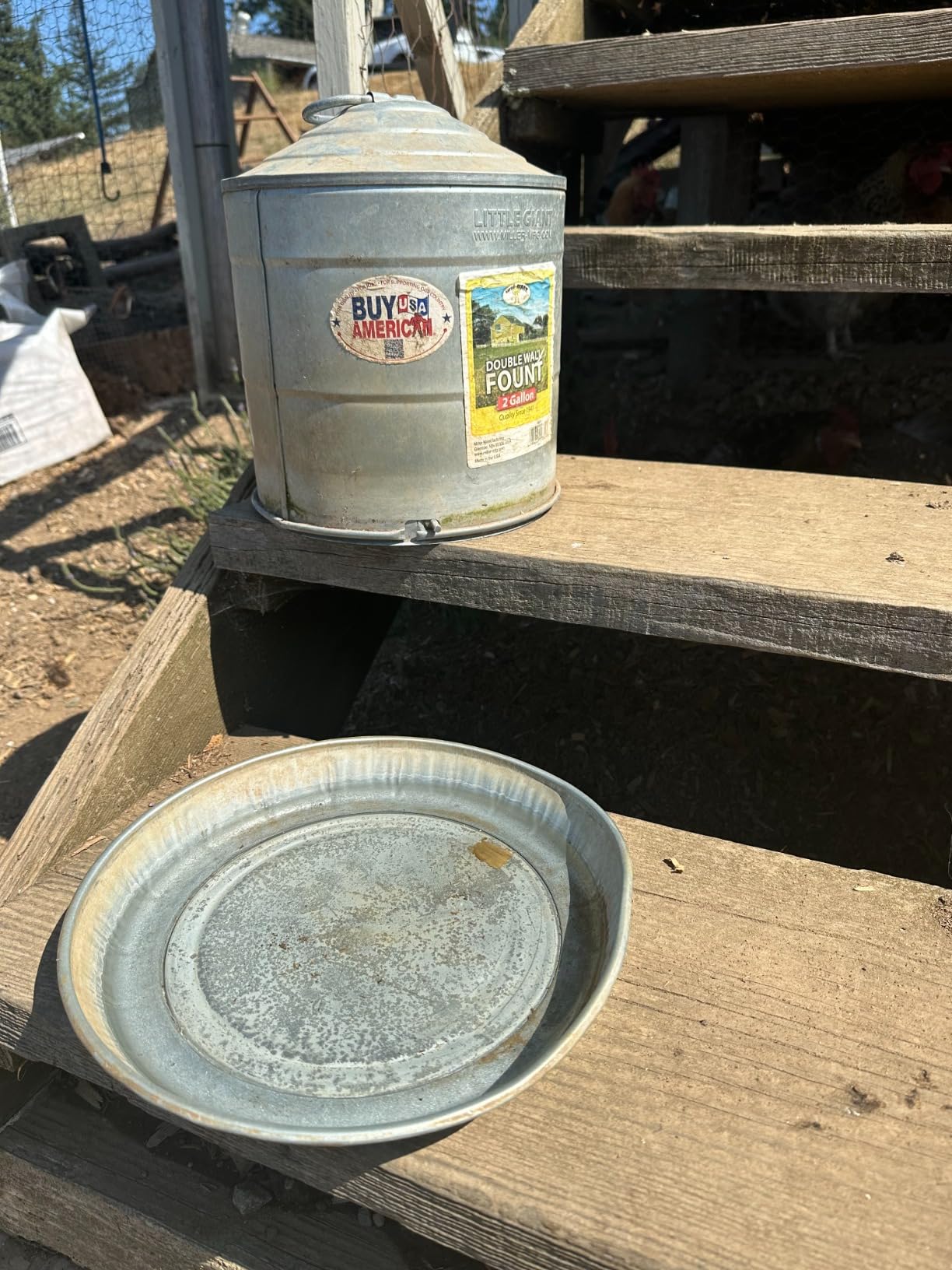 Little Giant® Double Wall Metal Poultry Fount | Poultry Waterer | Heavy Duty Galvanized Steel Waterer | Made in USA (Silver, 3 Gallon) customer photo 1