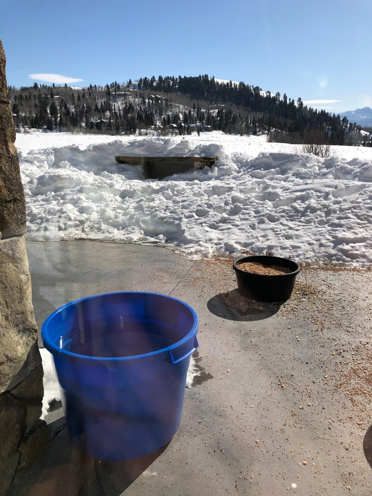 API 16 Gallon 260 Watt Heated Bucket 16HB customer photo 2