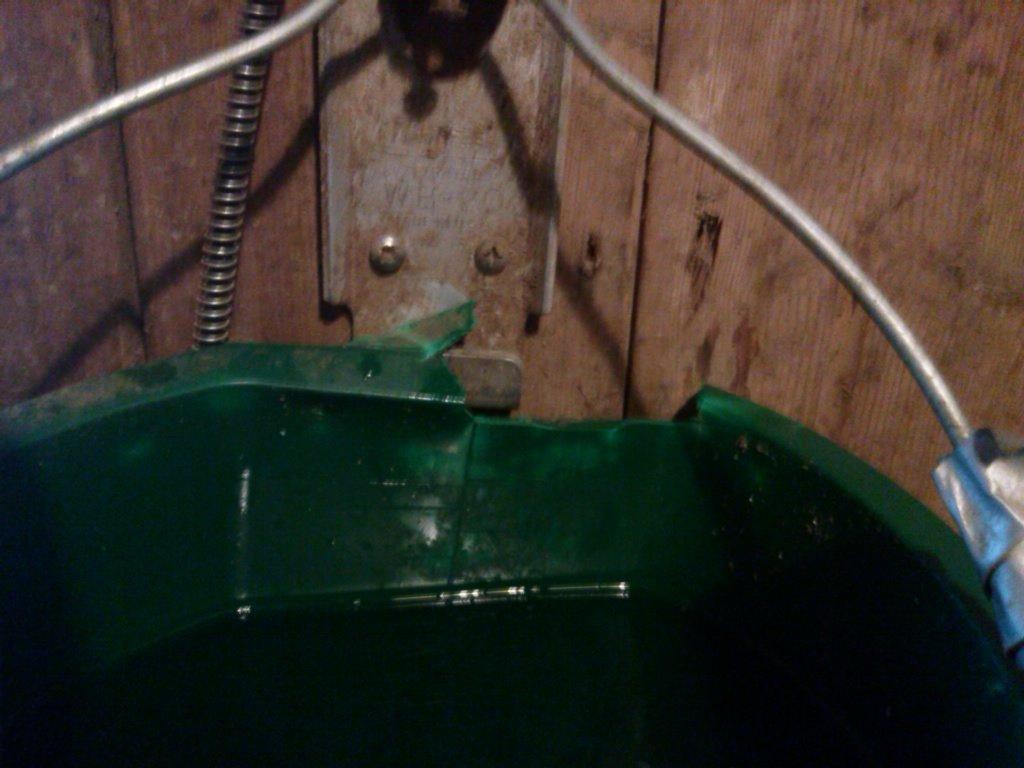 Farm Innovators FB-120 Plastic Flat Back Heated Bucket, 5-Gal (20-Qt) 120W customer photo 1