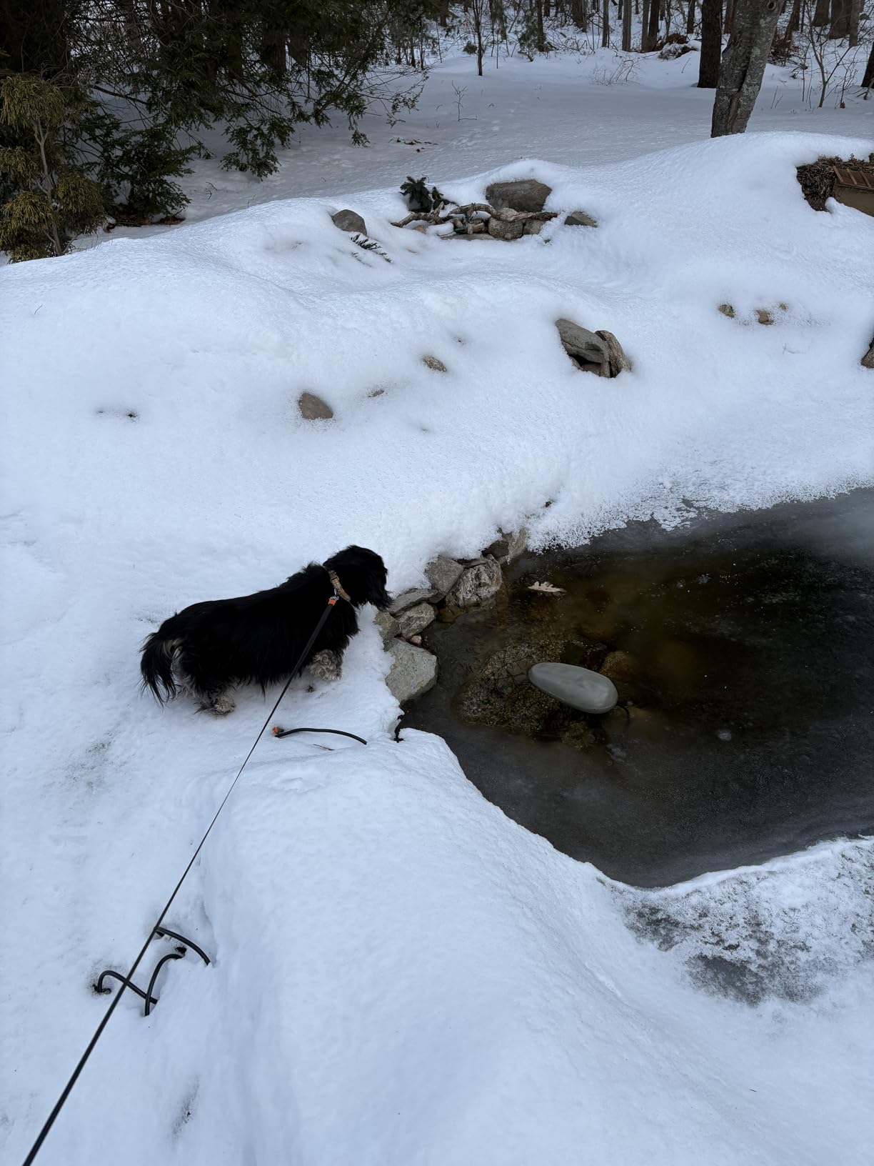 Tetra Pond De-Icer, Winter Survival Solution for Fish customer photo 1