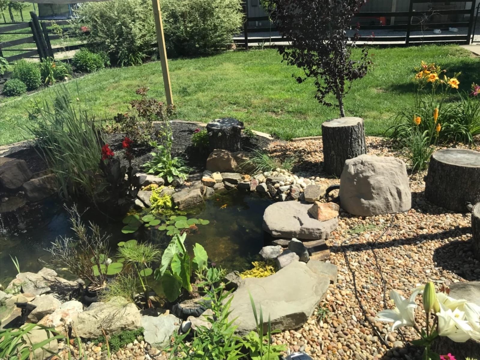 Aquascape DIY Backyard Pond Kit 8 x 11 feet – Complete Water Garden Ecosystem with Pump, Skimmer, and Filter, 99765 customer photo 2
