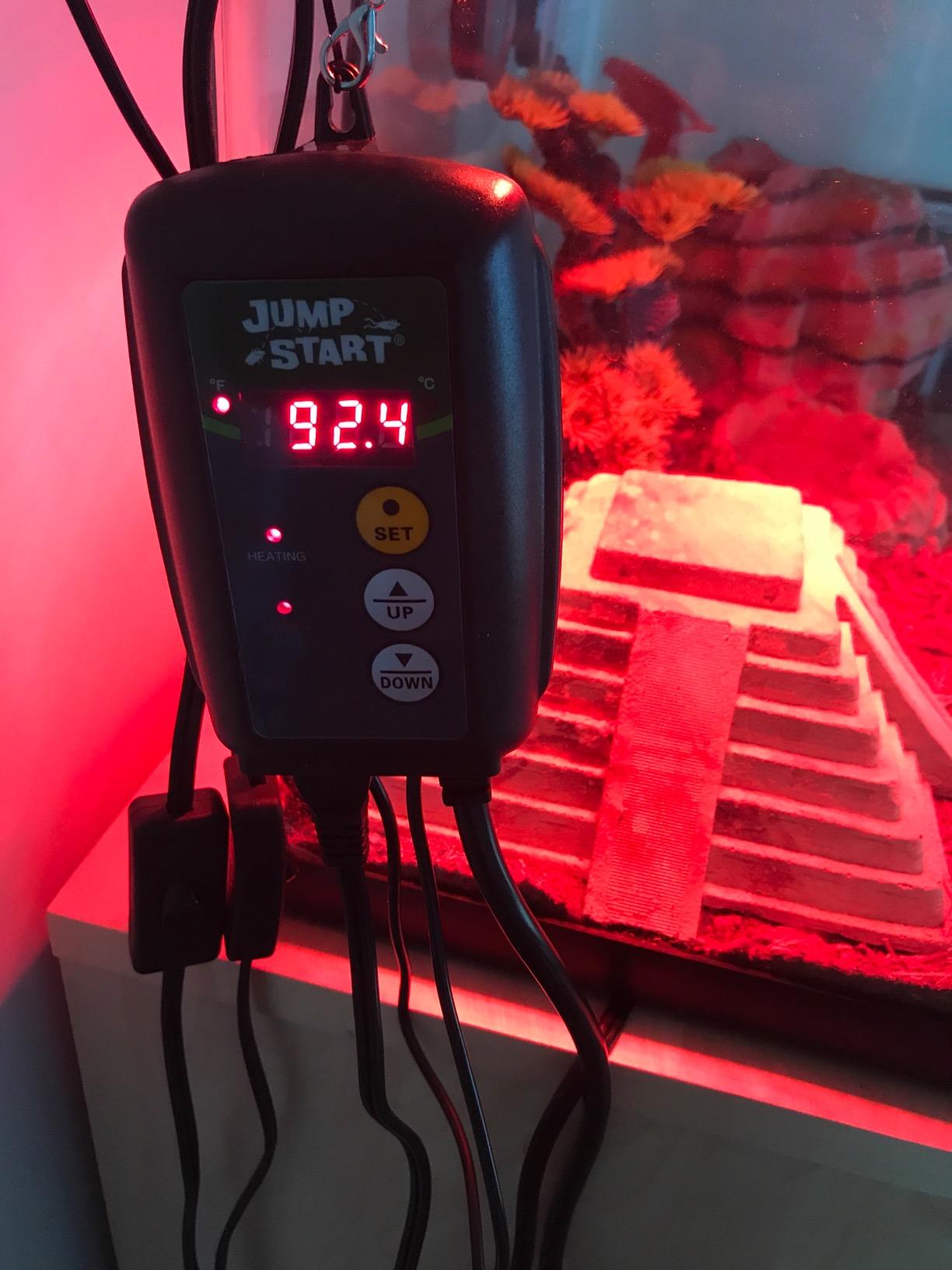JumpStart Digital Thermostat Controller for Heat Mats, 6 Ft Cord, MTPRTC customer photo 2