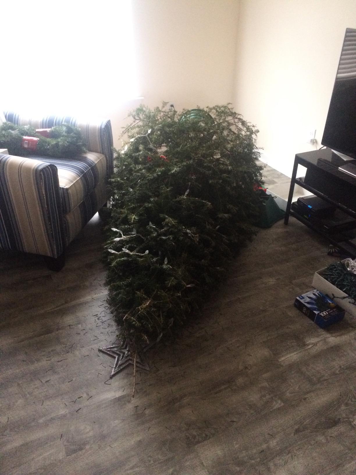 Krinner Christmas Tree Genie XXL - Green Tree Stand - Original Single Cable Operation, Holds up to 12 ft Live Trees - Foot Pedal Setup & Water Reservoir with Level Indicator - German Made customer photo 1