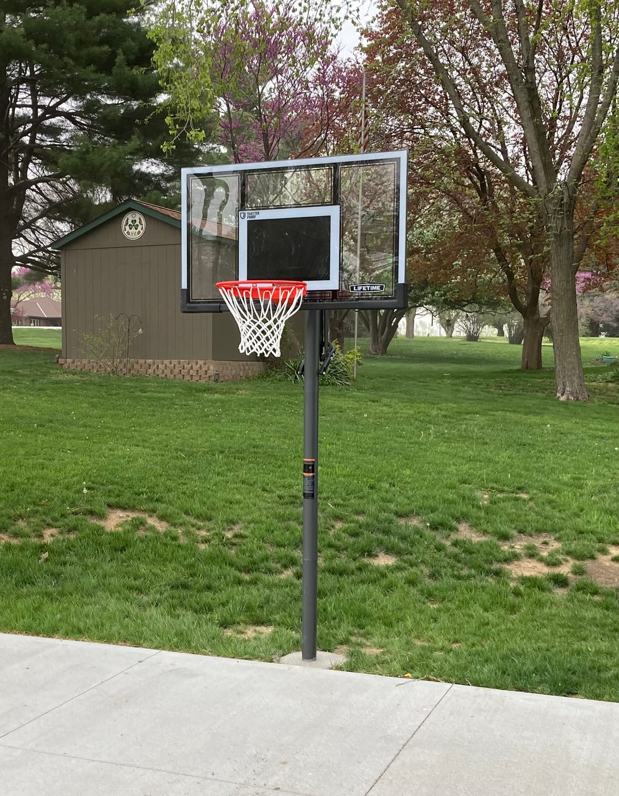 Lifetime Adjustable Basketball Hoop (54-Inch Polycarbonate) customer photo 2