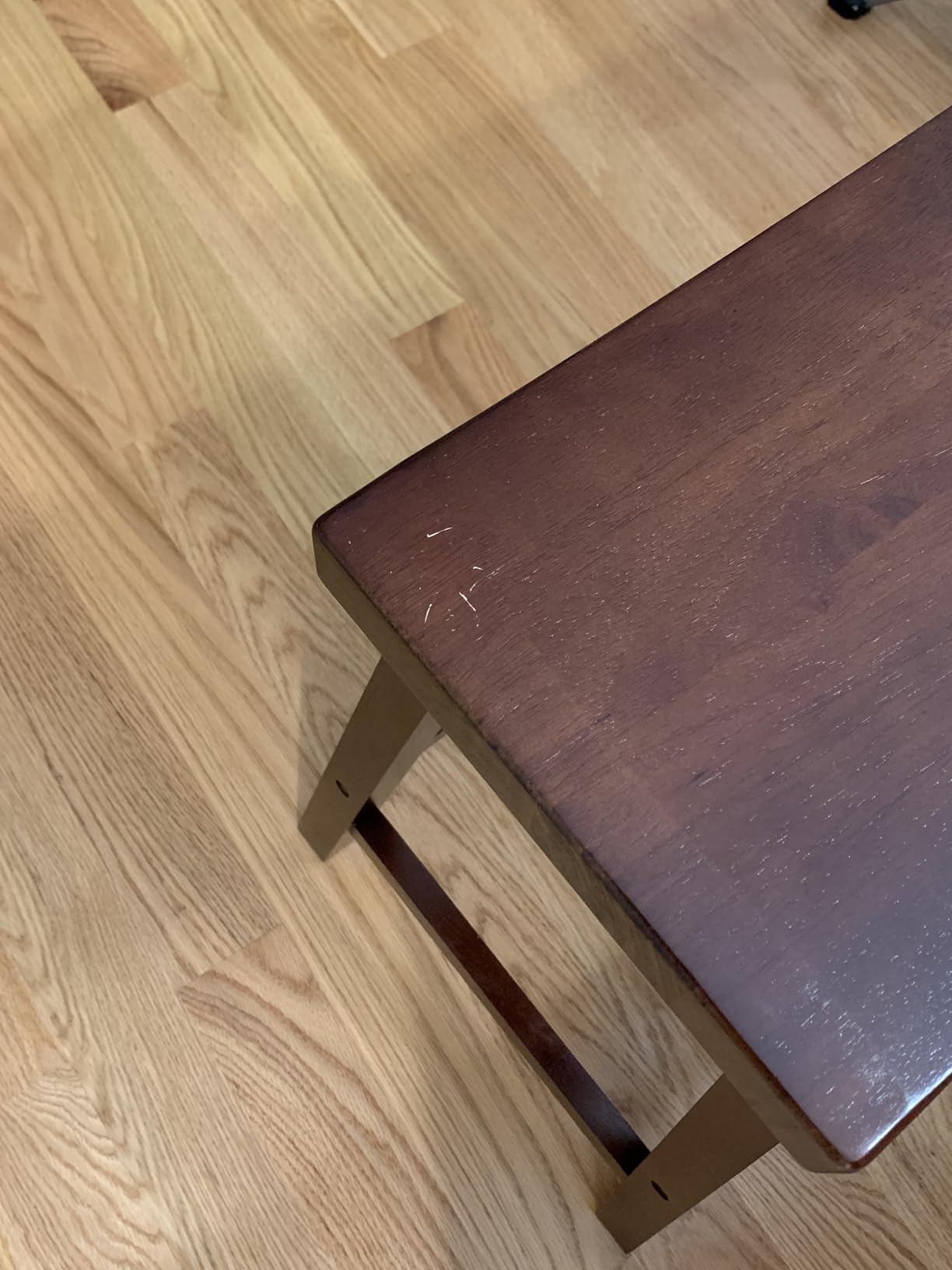 Winsome Satori Saddle Seat Counter Stool, Natural, 24