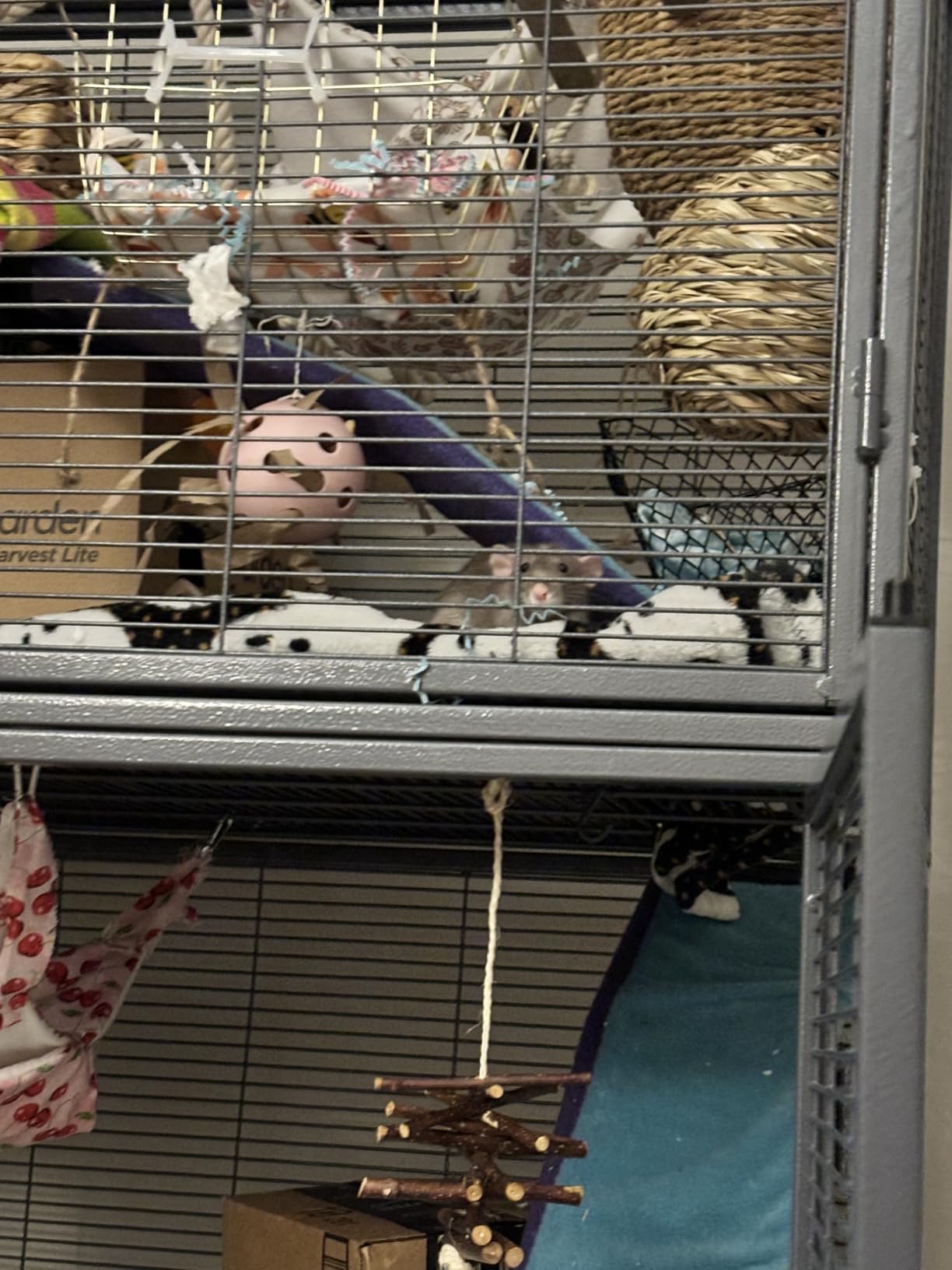 Critter Nation by MidWest Double Unit Small Animal Cage customer photo 1