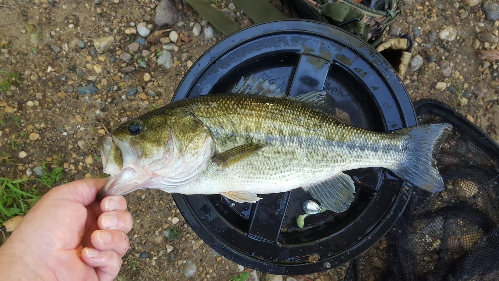Rapala X-Rap Jerkbait XR10 Fishing Lure customer photo 1