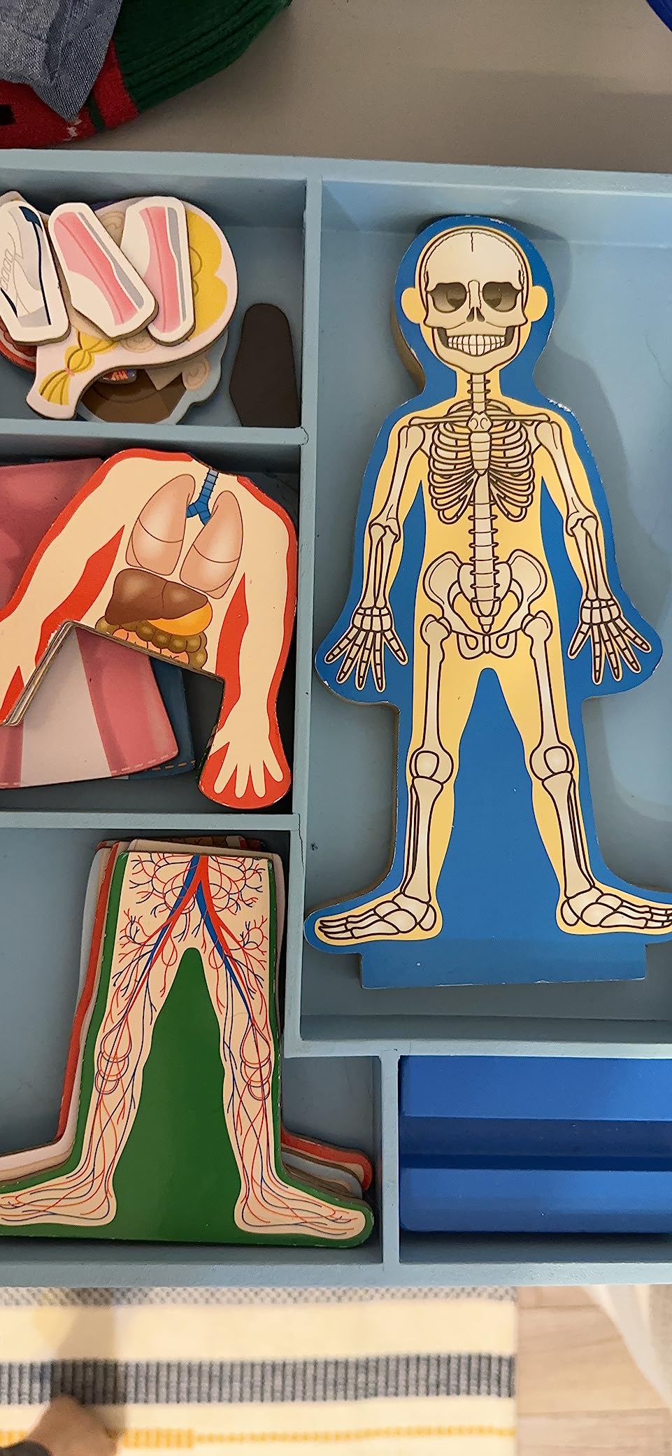Melissa & Doug Magnetic Human Body Anatomy Play Set with 24 Magnetic Pieces and Storage Tray customer photo 1