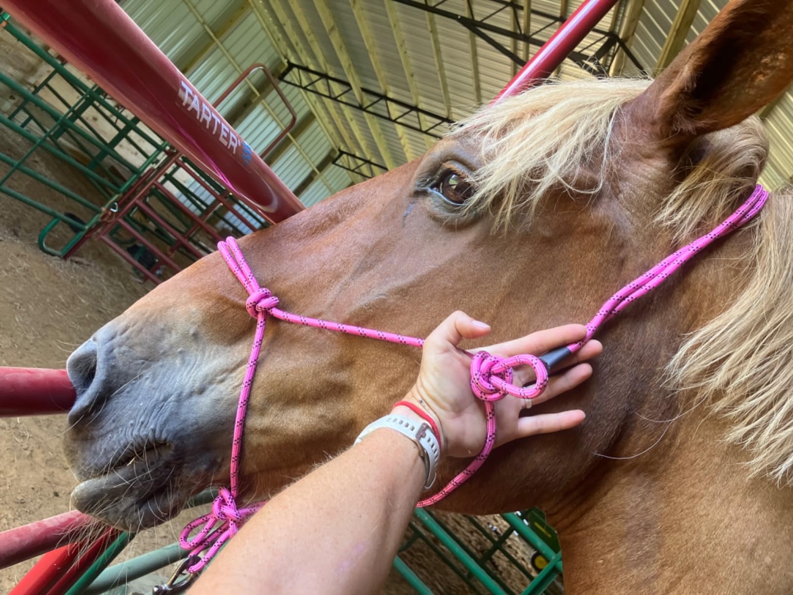 Tough 1 Horse Poly Rope Tied Halter customer photo 2
