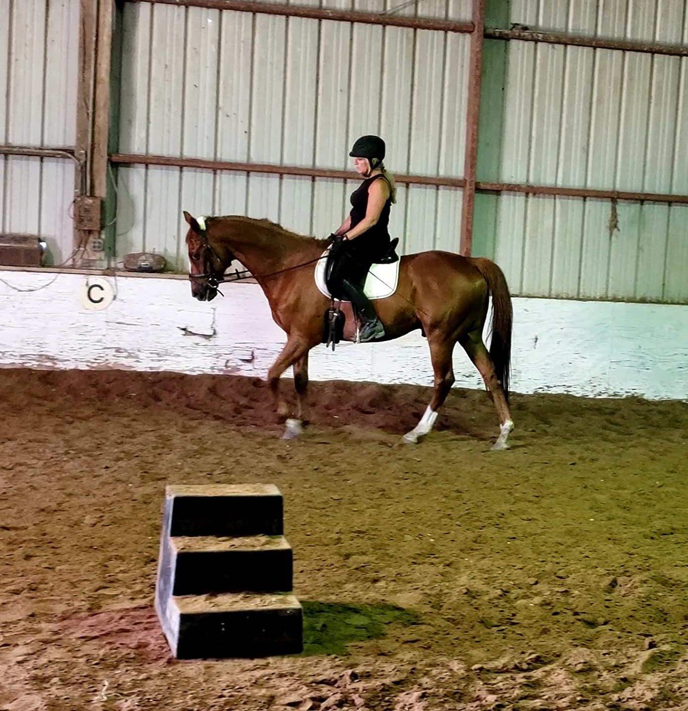 Tough1 Fleece Halter Set - Horse customer photo 1