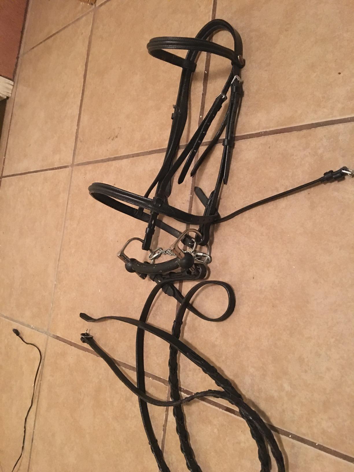 Tough 1 Silver Fox Raised Snaffle Bridle customer photo 2