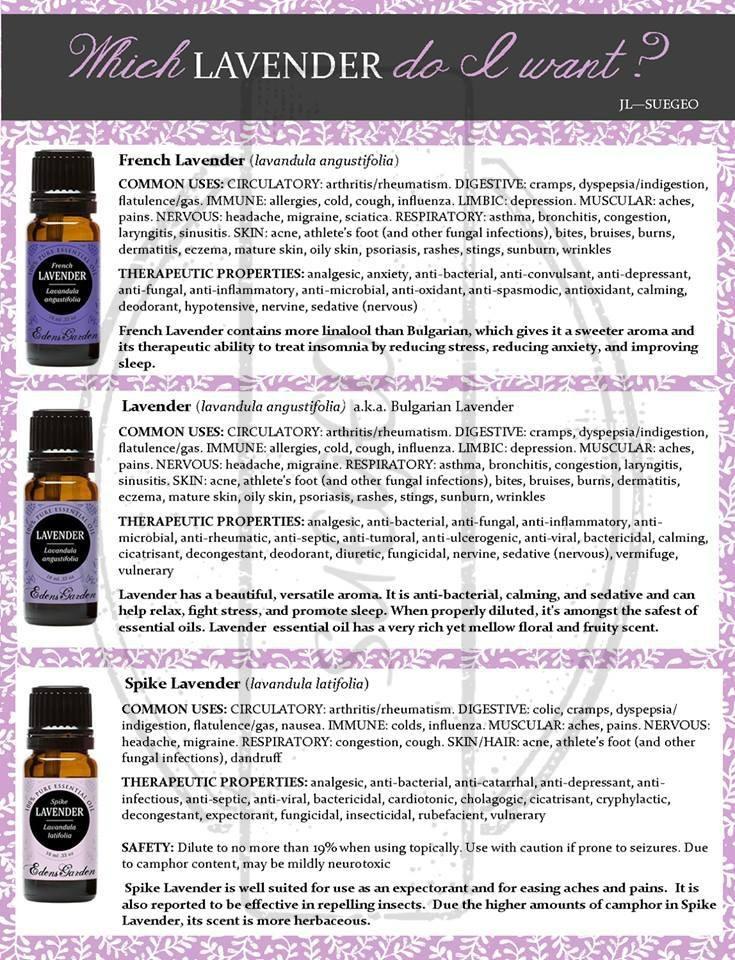 Edens Garden Lavender - Bulgarian Essential Oil- 100% Pure 10 ml (.33 oz) | Premium Grade, Undiluted, Natural, Therapeutic, Aromatherapy, The Best For Diffuser, Skin, Humidifiers, Kid Safe customer photo 1