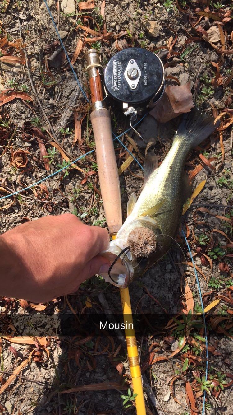 Eagle Claw, Featherlight Fly Rod, Freshwater, Length 2pc, 5-6 lb Line Rate. Medium Power customer photo 1