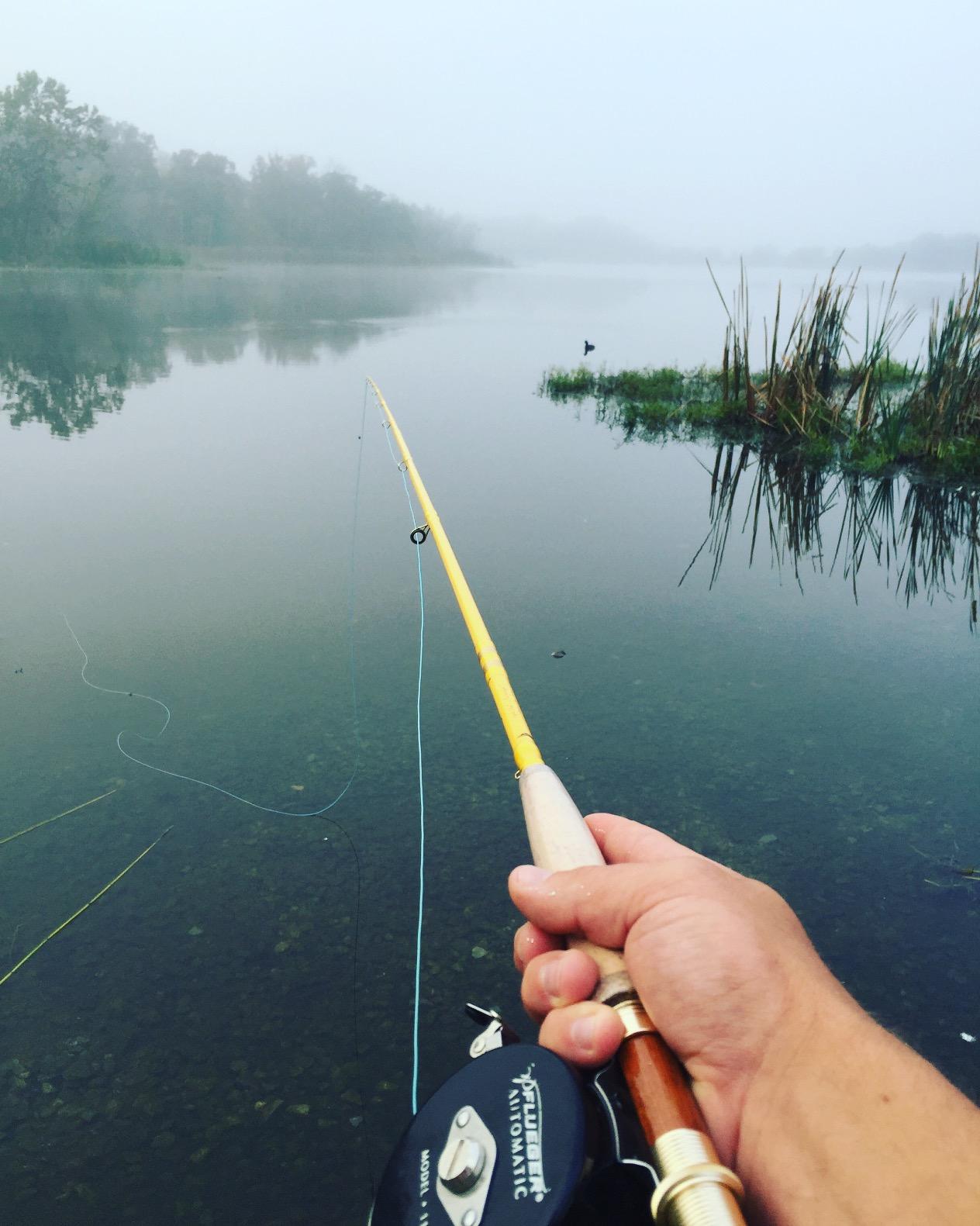 Eagle Claw, Featherlight Fly Rod, Freshwater, Length 2pc, 5-6 lb Line Rate. Medium Power customer photo 2