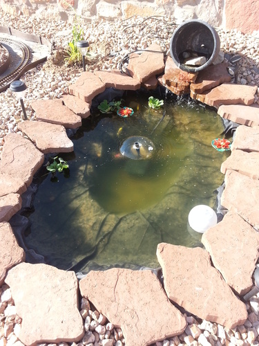 Koolatron Koolscapes 400 Gallon Starter Pond Kit with 340 GPH Pump, Water Bell and Double Daisy Fountain Nozzles, 10 x 10 Ft Flexible Liner, Floating Solar Light, Fish-Friendly Backyard Koi Pond Kit customer photo 2