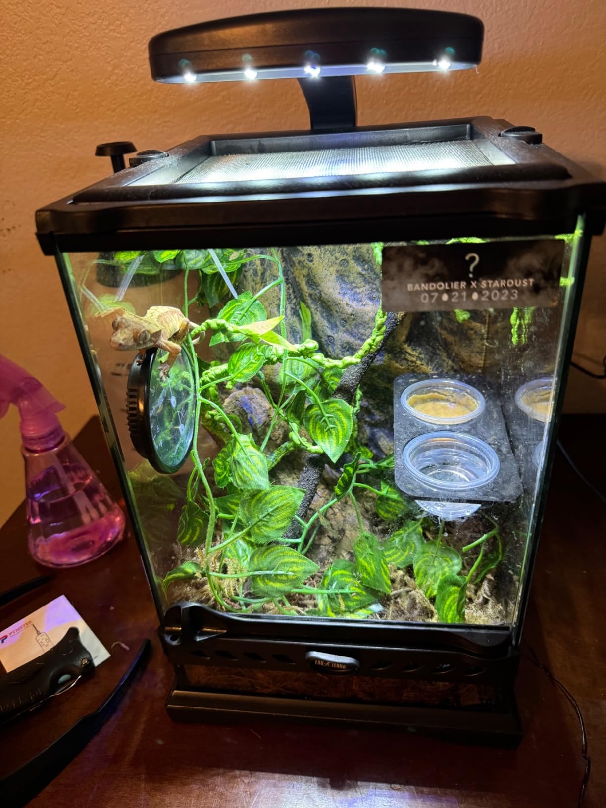 Exo Terra Glass Nano Terrarium Kit, 8 x 8 x 12 Inches customer photo 1