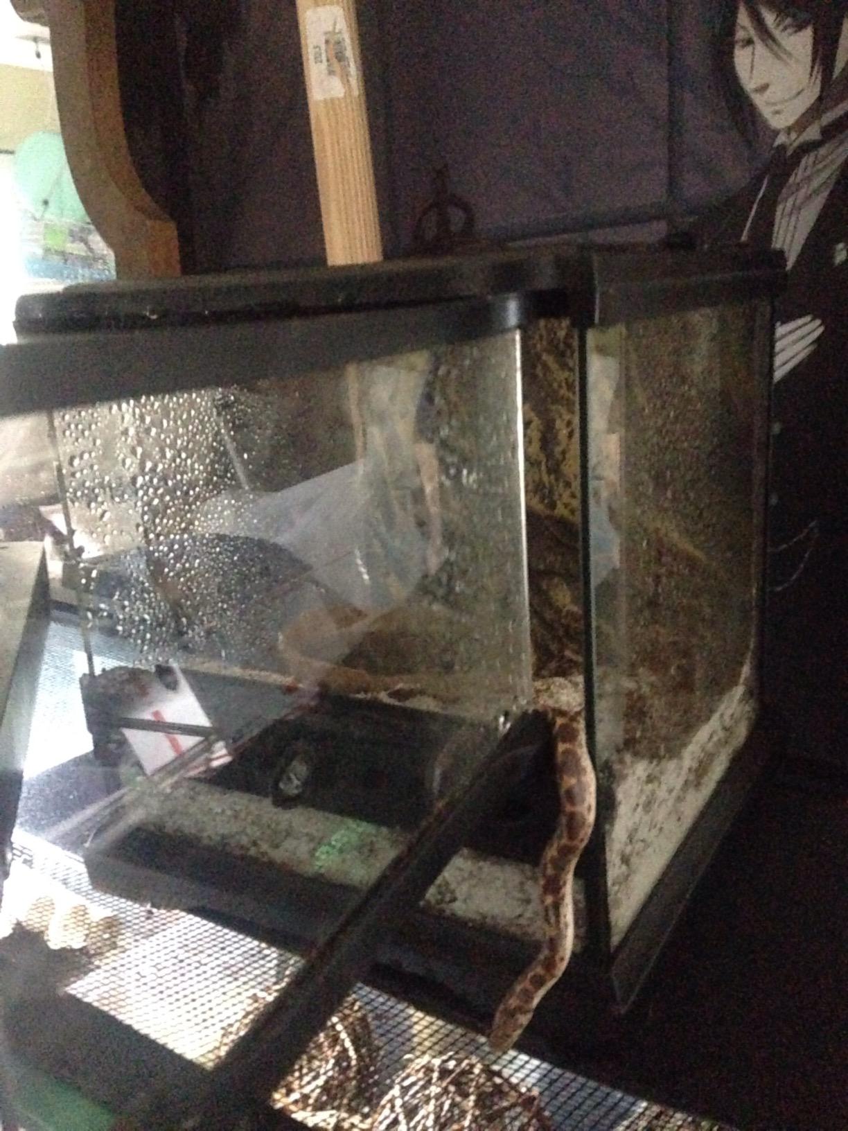 Exo Terra Glass Nano Terrarium Kit, 8 x 8 x 12 Inches customer photo 2