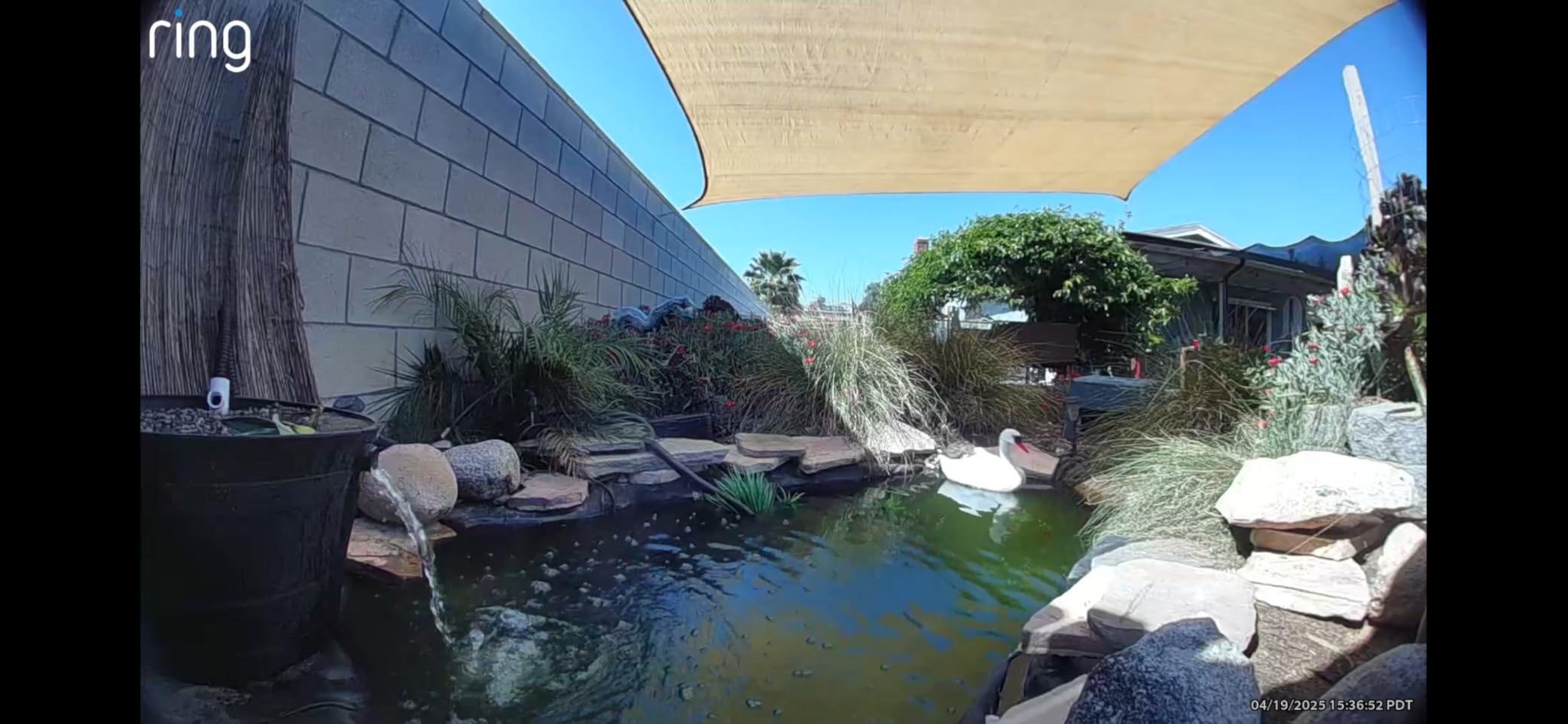 Tetra Pond GreenFree UV Clarifier UVC-5 for Clean & Clear Ponds customer photo 1